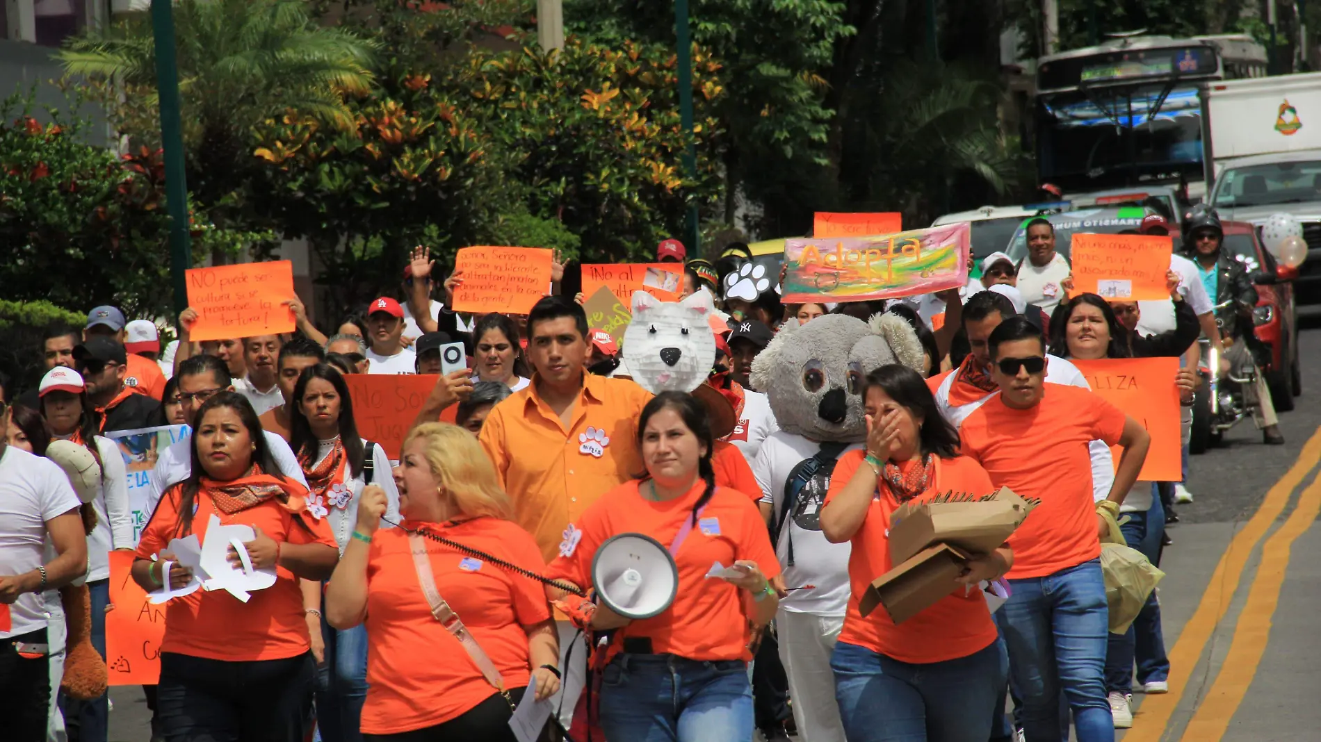 Protectores y rescatistas exigen respeto a derechos de los animales; marchan en Xalapa